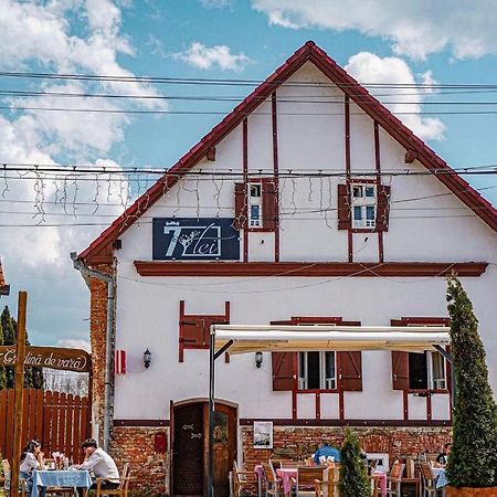 Pensiunea 7 Tei Cisnadioara Exterior foto