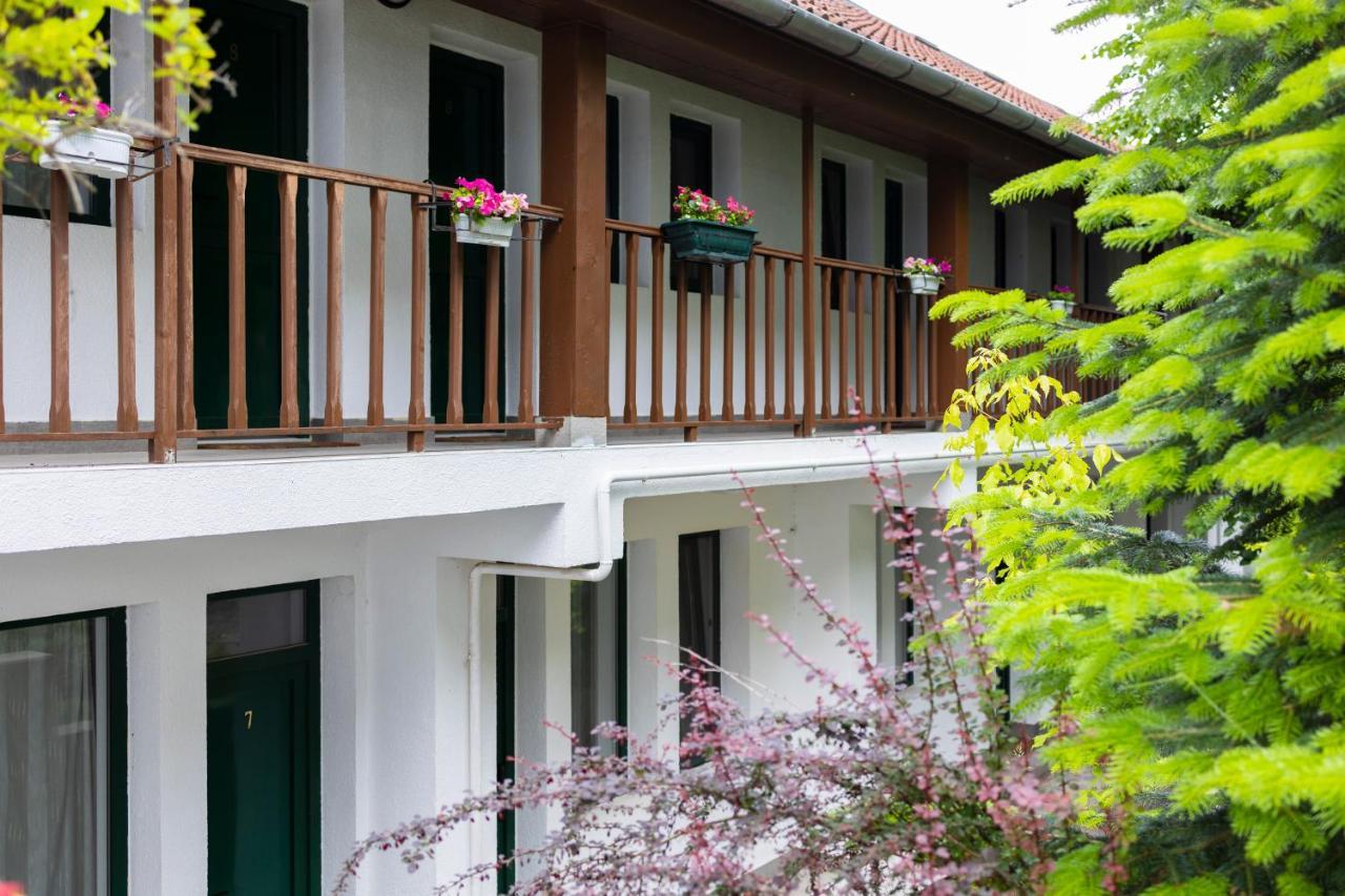 Pensiunea 7 Tei Cisnadioara Exterior foto
