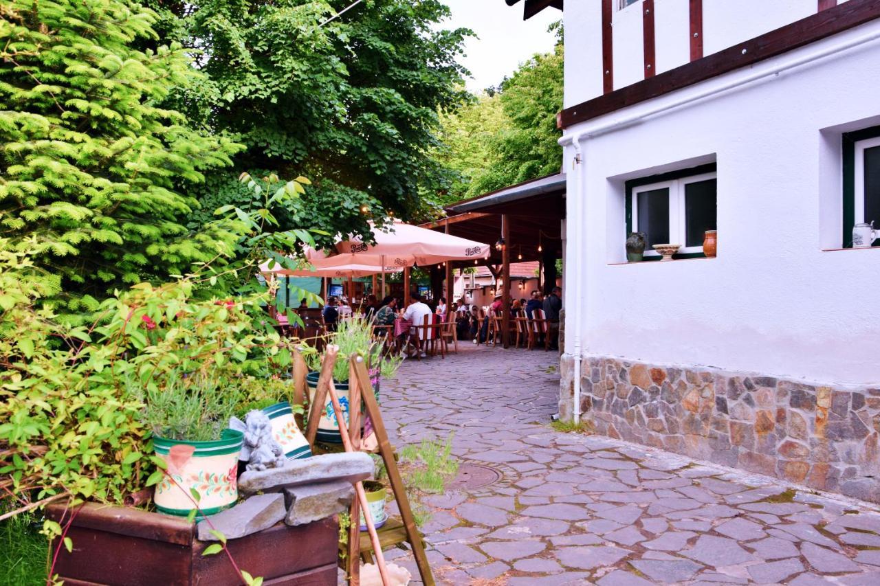 Pensiunea 7 Tei Cisnadioara Exterior foto
